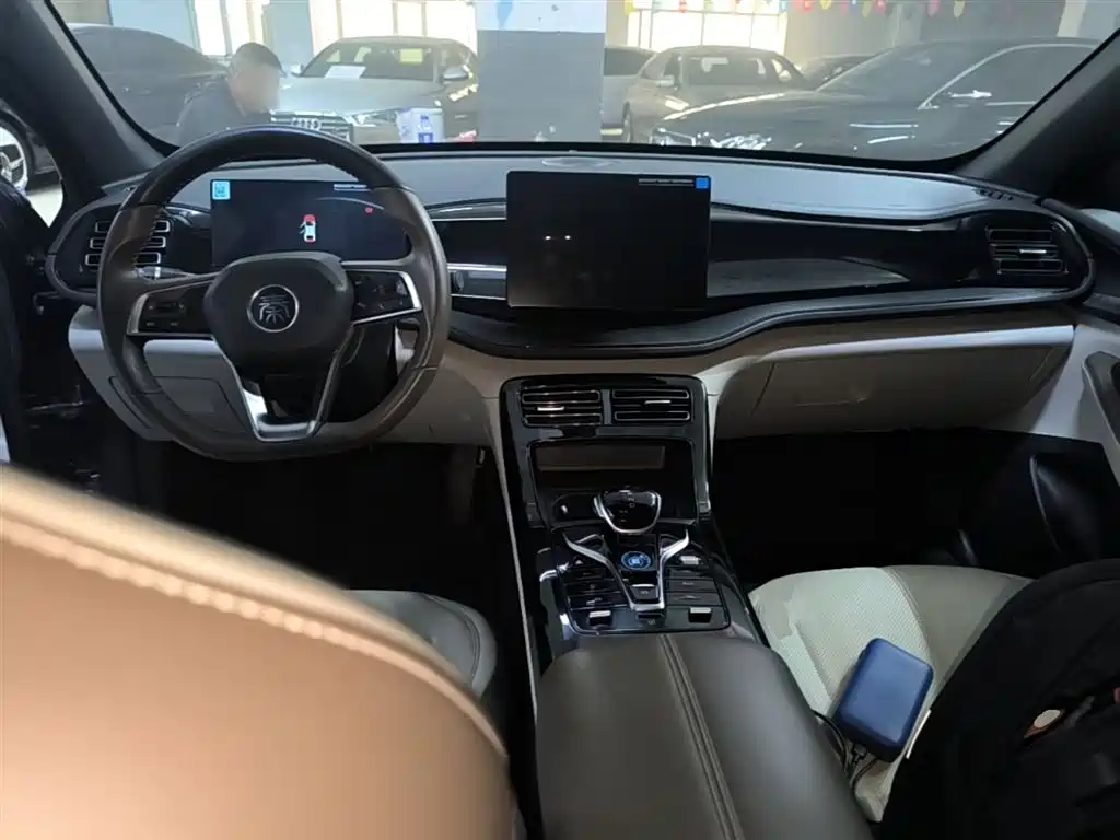 BYD Qin PLUS 2024 Glory Edition DM-i 55KM Leading фото 10