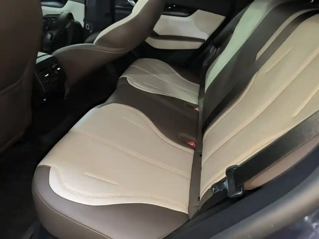 BYD Qin PLUS 2024 Glory Edition DM-i 55KM Leading фото 17