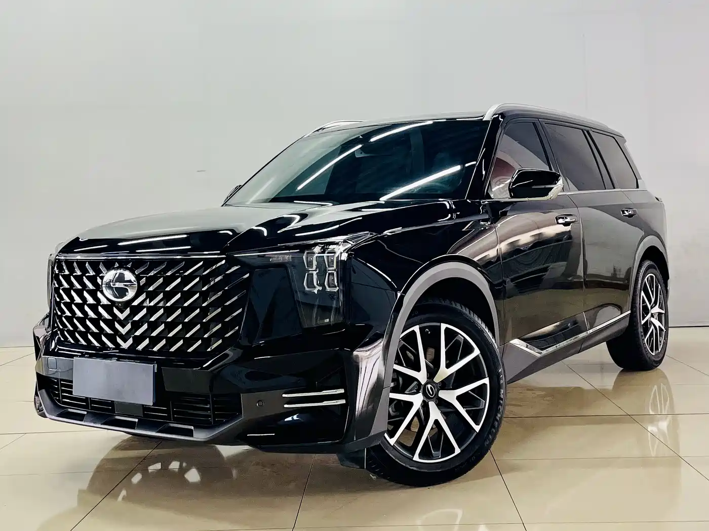 GAC Trumpchi Trumpchi GS8 2024 Navigator Series 2.0TGDI 4WD Luxury Smart Connect Edition фото 2