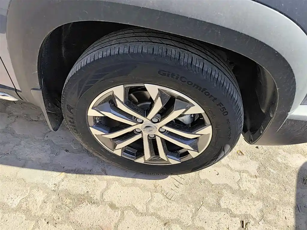 Haval Big Dog 2021 2.0T DCT 2WD Chinese Hound Edition фото 14