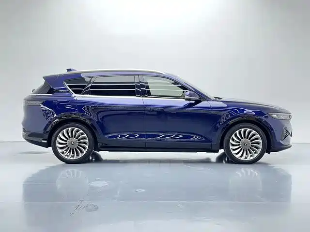 Voyah Auto VOYAH FREE 2021 AWD Standard Range Extender Exclusive Luxury Package фото 9