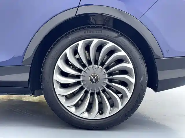 Voyah Auto VOYAH FREE 2021 AWD Standard Range Extender Exclusive Luxury Package фото 16