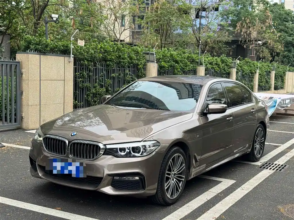 BMW 5 Series 2018 530Li Leading M Sport Package