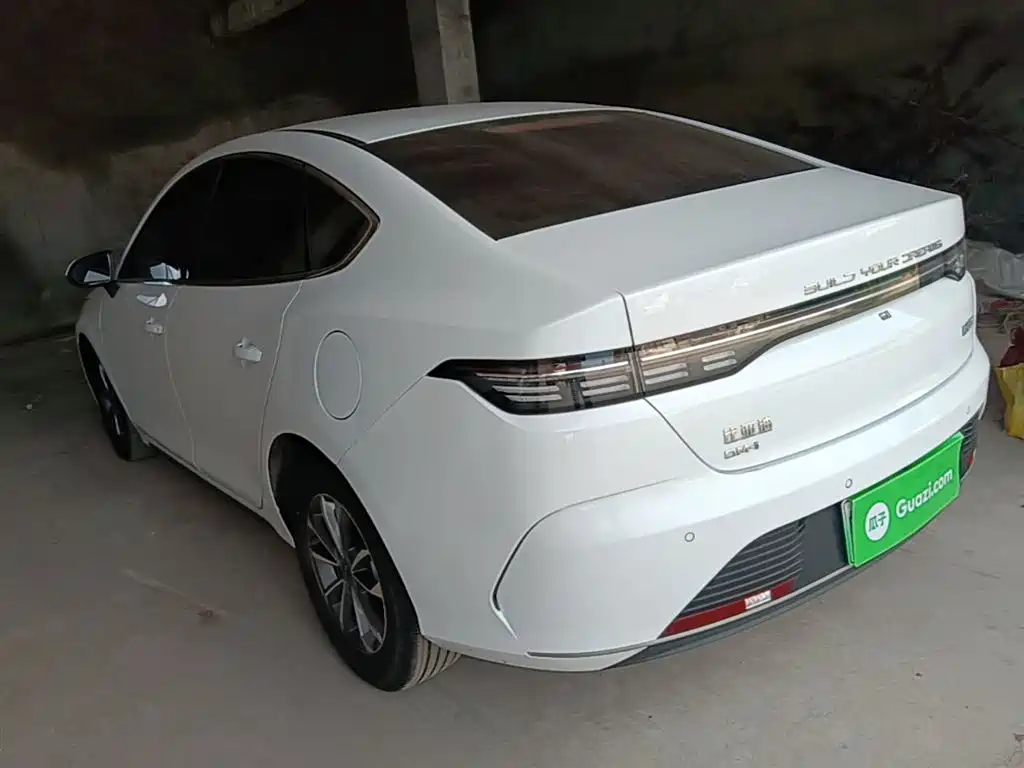 BYD Destroyer 05 2024 Glory Edition DM-i 55KM Luxury фото 5