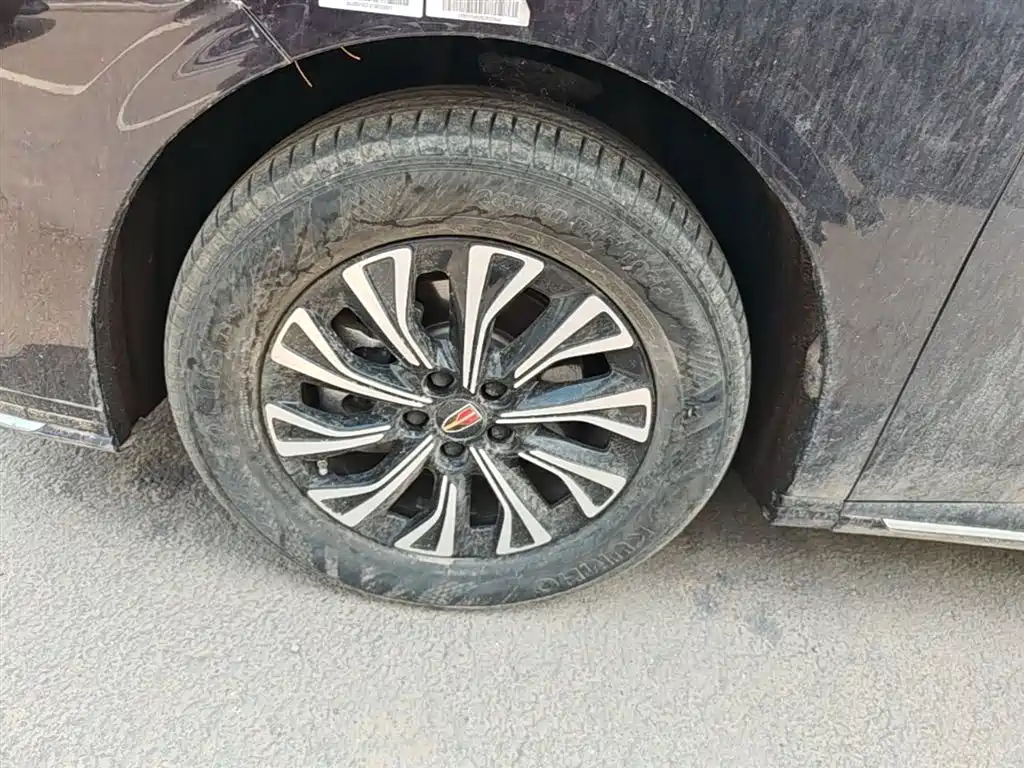 Hongqi HQ9 PHEV 2024 Model 2.0T AWD Business Edition фото 23