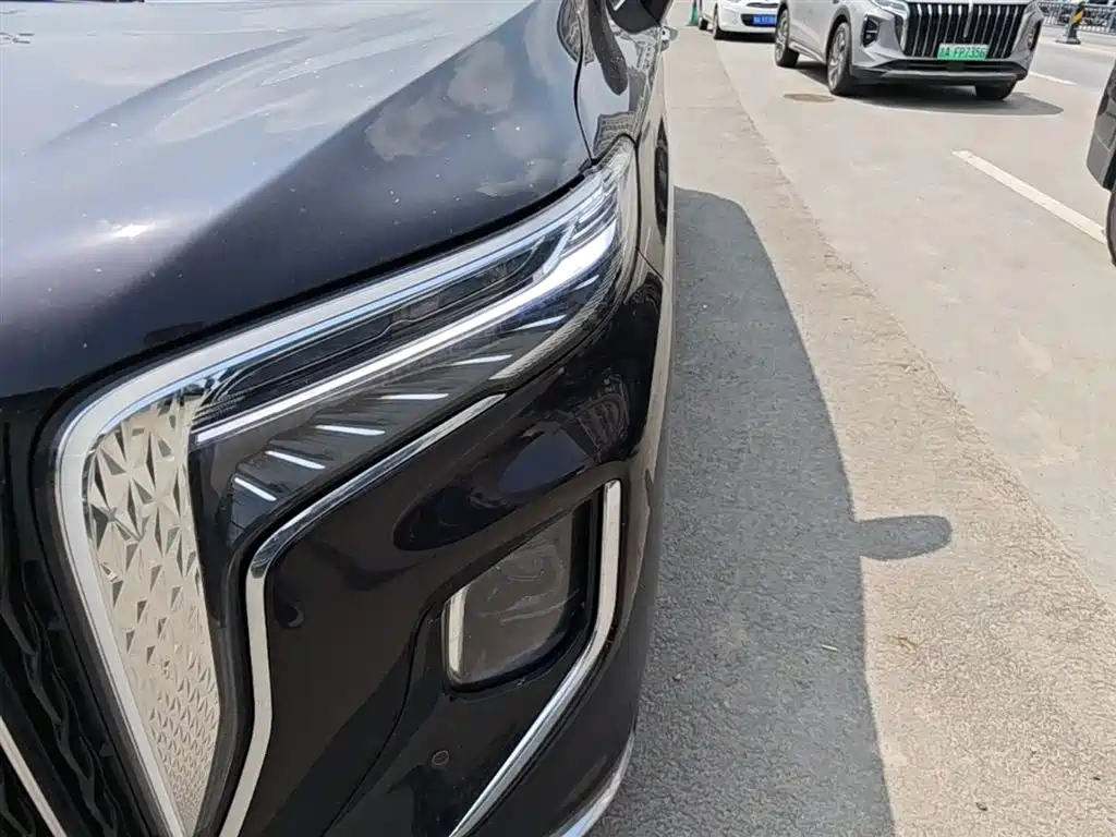 Hongqi HQ9 PHEV 2024 Model 2.0T AWD Business Edition фото 24