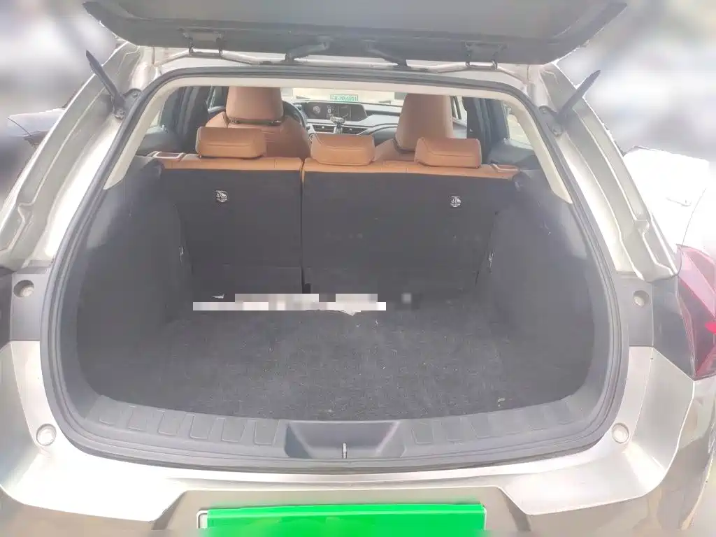 Lexus UX Electric 2021 2020 300e Pure Yue Edition