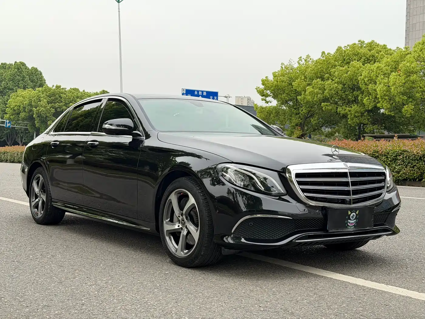 Mercedes-Benz E-Class 2019 E 300 L Sport Luxury фото 3