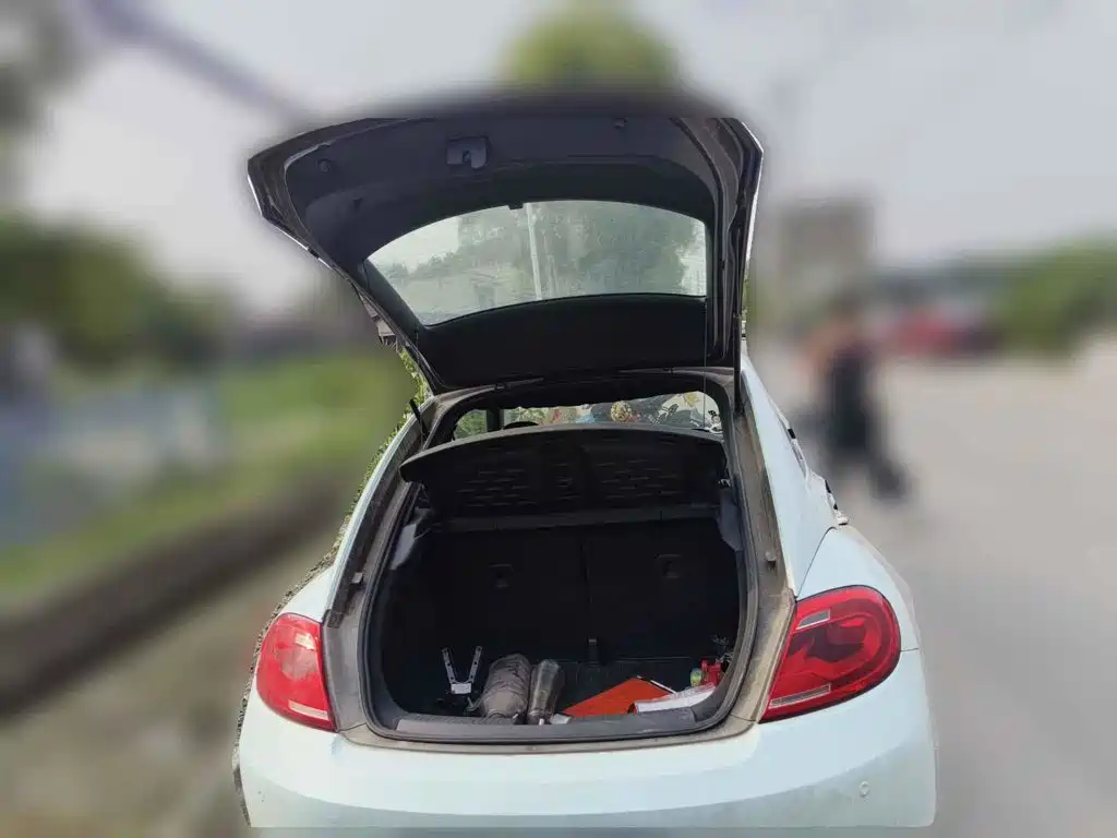 Фото 5 - Volkswagen Beetle