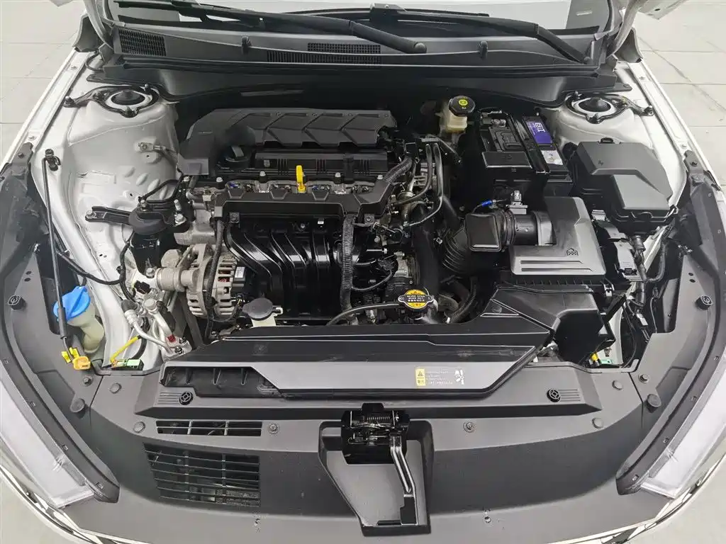 Hyundai Elantra 2021 1.5L CVT LUX Premium Edition фото 6