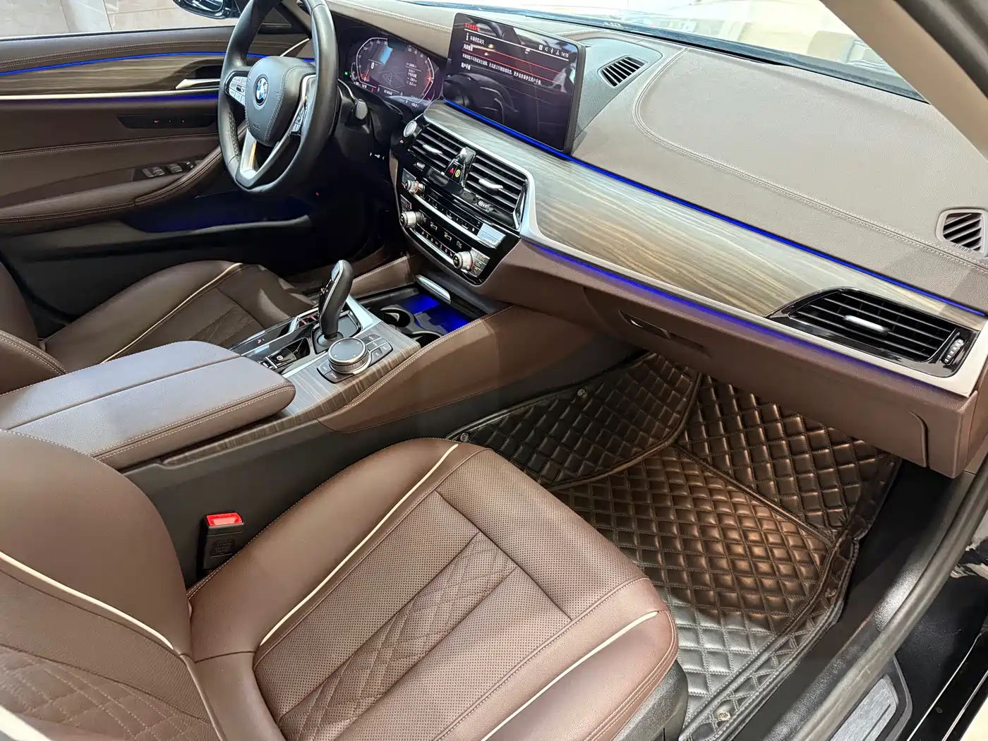 BMW 5 Series 2023 530Li Leading Luxury Package фото 11