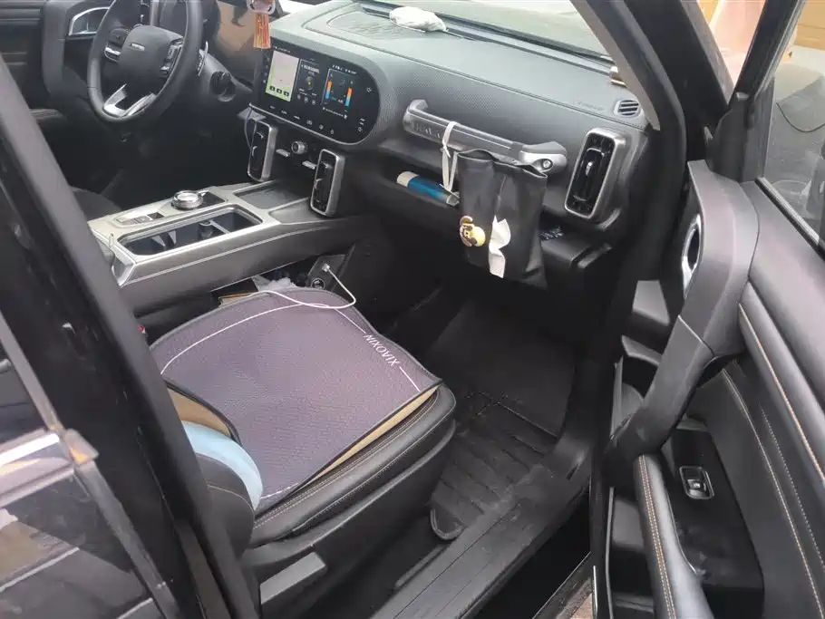 Haval Big Dog 2024 1.5T DCT Border Collie Edition фото 8