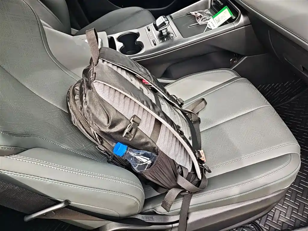 BYD Qin PLUS 2025 DM-i Smart Drive 55KM Leader фото 25