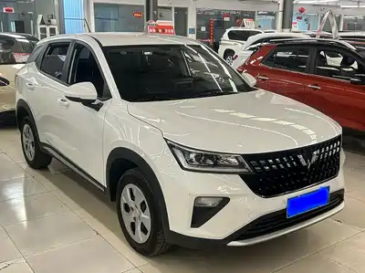 Wuling Alvez