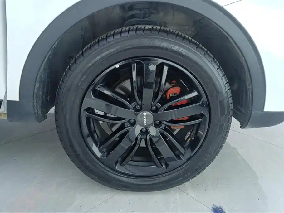 Haval H6 2020 2.0GDIT Automatic GT Champion Edition фото 6