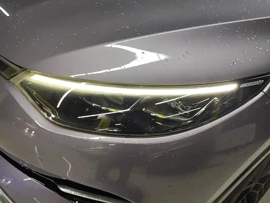 Denza X 2020 2020 Model PHEV Flagship Edition