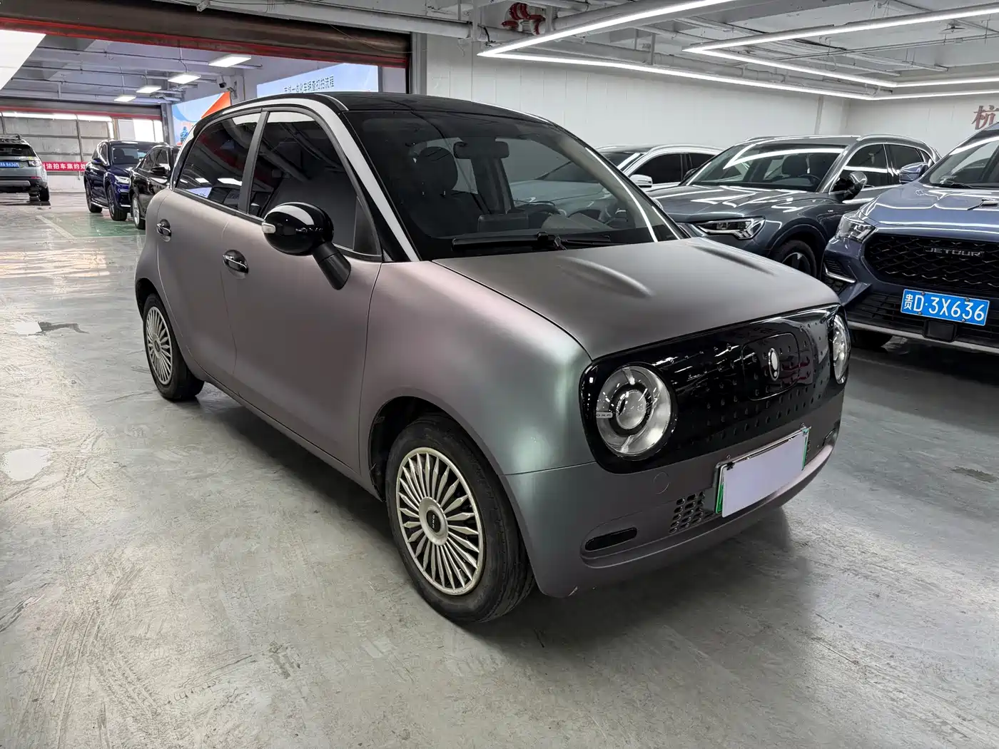 Ora Black Cat 2022 2022 Facelift 301km Pet Edition LFP Version
