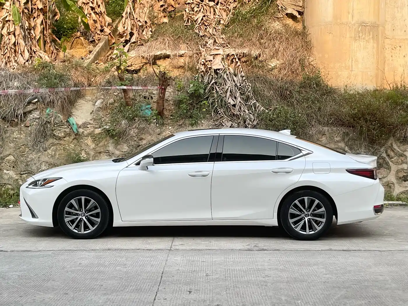 Lexus ES 2020 200 Excellence фото 3