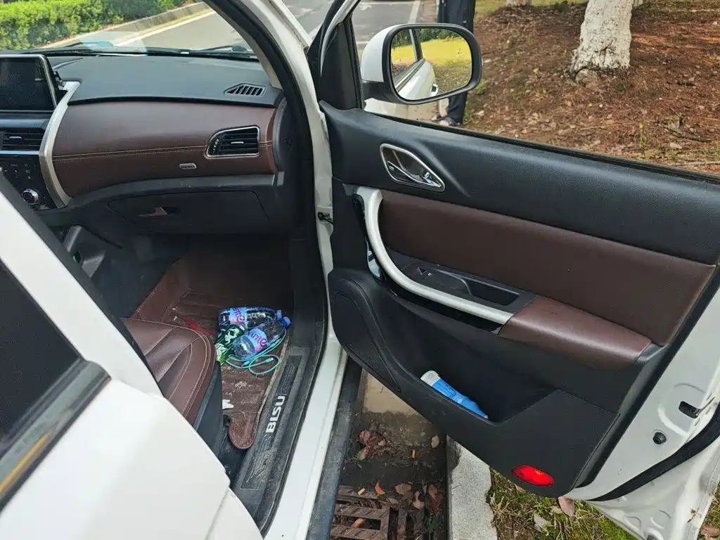Bisu Auto Bisu T5 2017 2017 1.5T Manual Luxury
