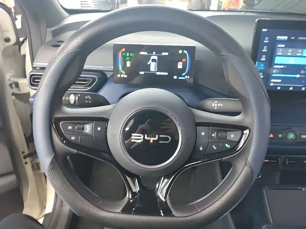 BYD Seagull 2025 Smart Drive Edition 305km Vitality Version фото 11