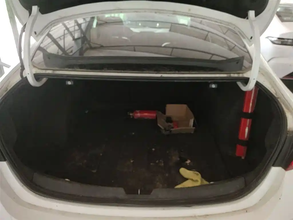 Chevrolet Malibu XL 2018 530T Auto RuiYi Edition фото 19