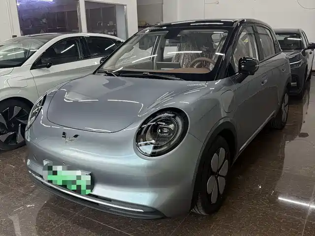  Wuling Motors Binguo Pro
