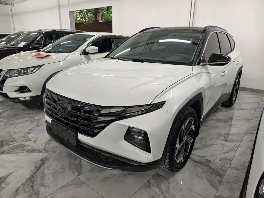 Hyundai Tucson 2023 2023 Tucson L 1.5T Automatic 2WD DLX Luxury Edition