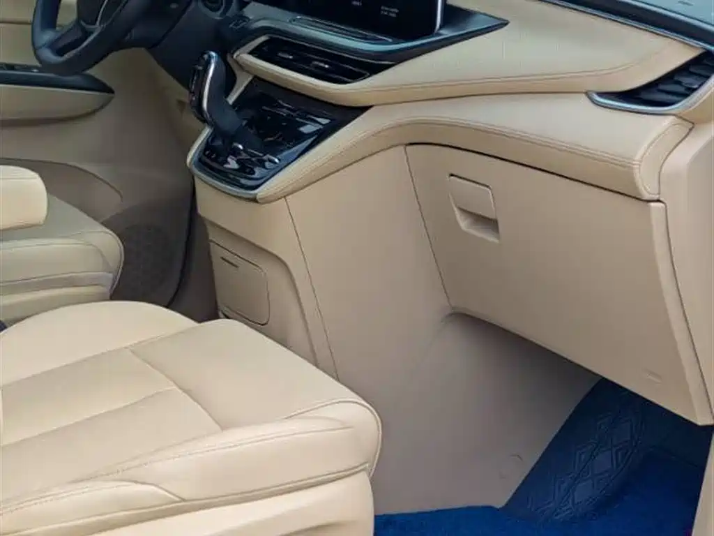 Buick GL8 2022 ES Landmark 653T Premium фото 10