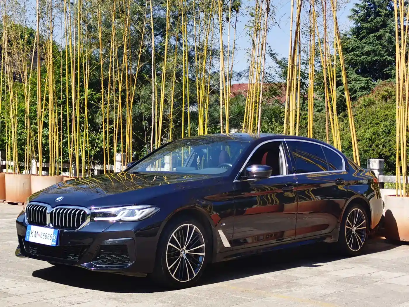 BMW 5 Series 2022 530Li Leading M Sport Package