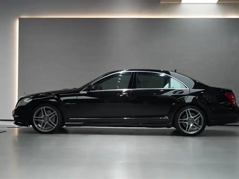 Mercedes-Benz S-Class AMG 2010 AMG S 65 фото 4