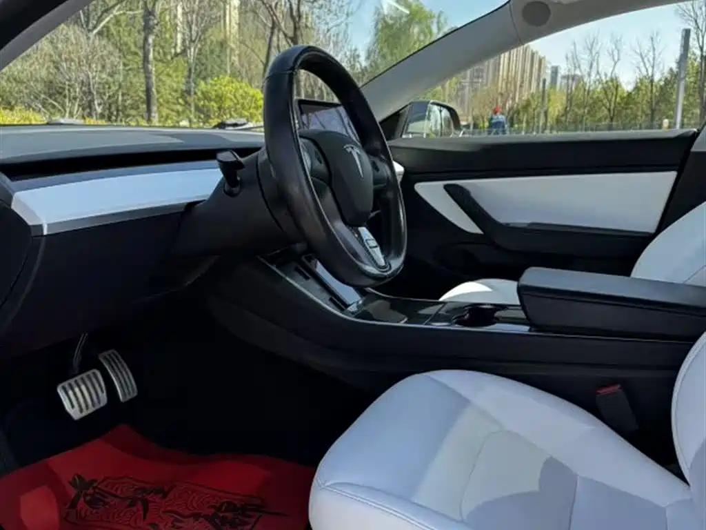 TESLA MODEL 3 (IMPORTED)