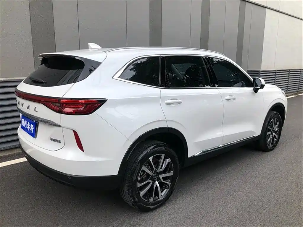Haval H6 2022 3rd Gen 1.5T Auto 2WD Max фото 13