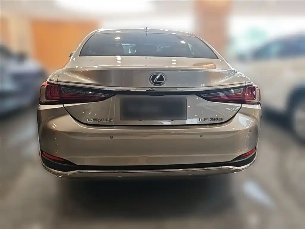 Lexus ES 2018 200 Luxury Edition China V фото 10