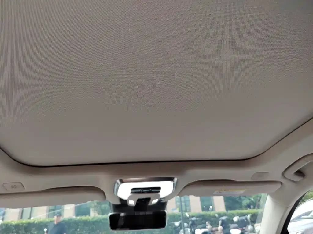 Hongqi H9 2020 2020 3.0T Smart Connection Qi Chang Edition