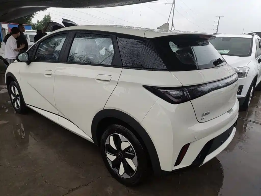 BYD Dolphin 2026 2025 420km Freedom Edition
