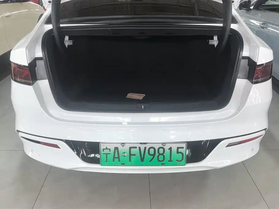 BYD Qin PLUS 2024 Glory Edition DM-i 55KM Leading фото 4