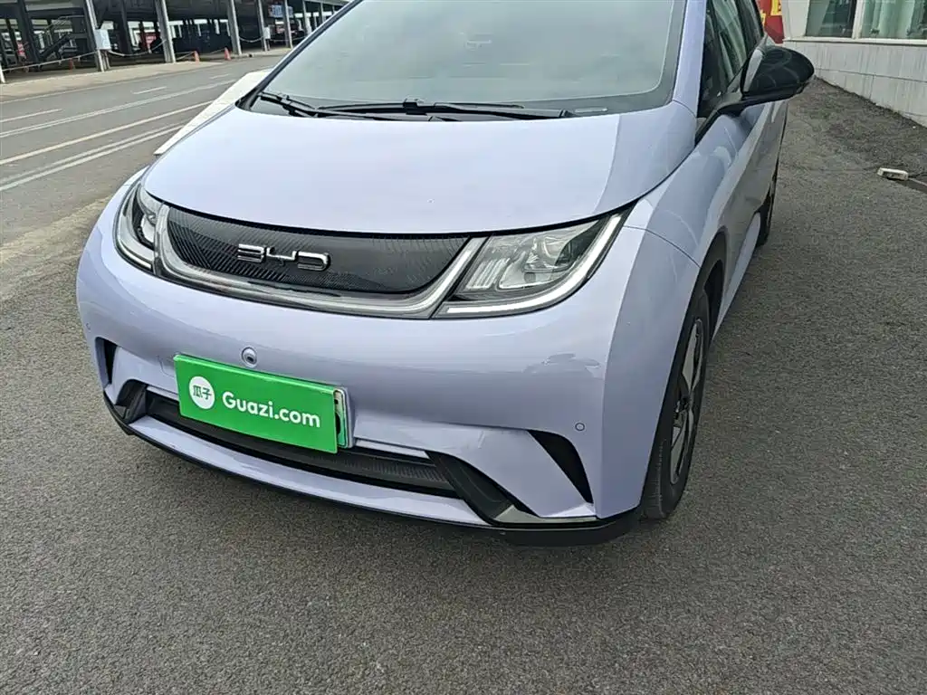 BYD Dolphin 2024 Glory Edition 420km Fashion Edition фото 24