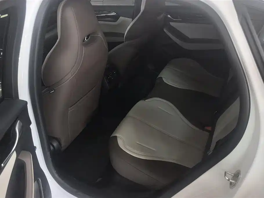 BYD Qin PLUS 2024 Glory Edition DM-i 55KM Leading фото 11