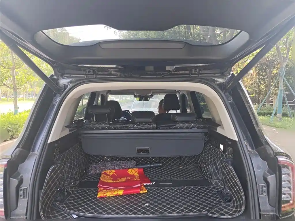 Haval Big Dog 2022 1.5T DCT FWD Border Collie Edition фото 16