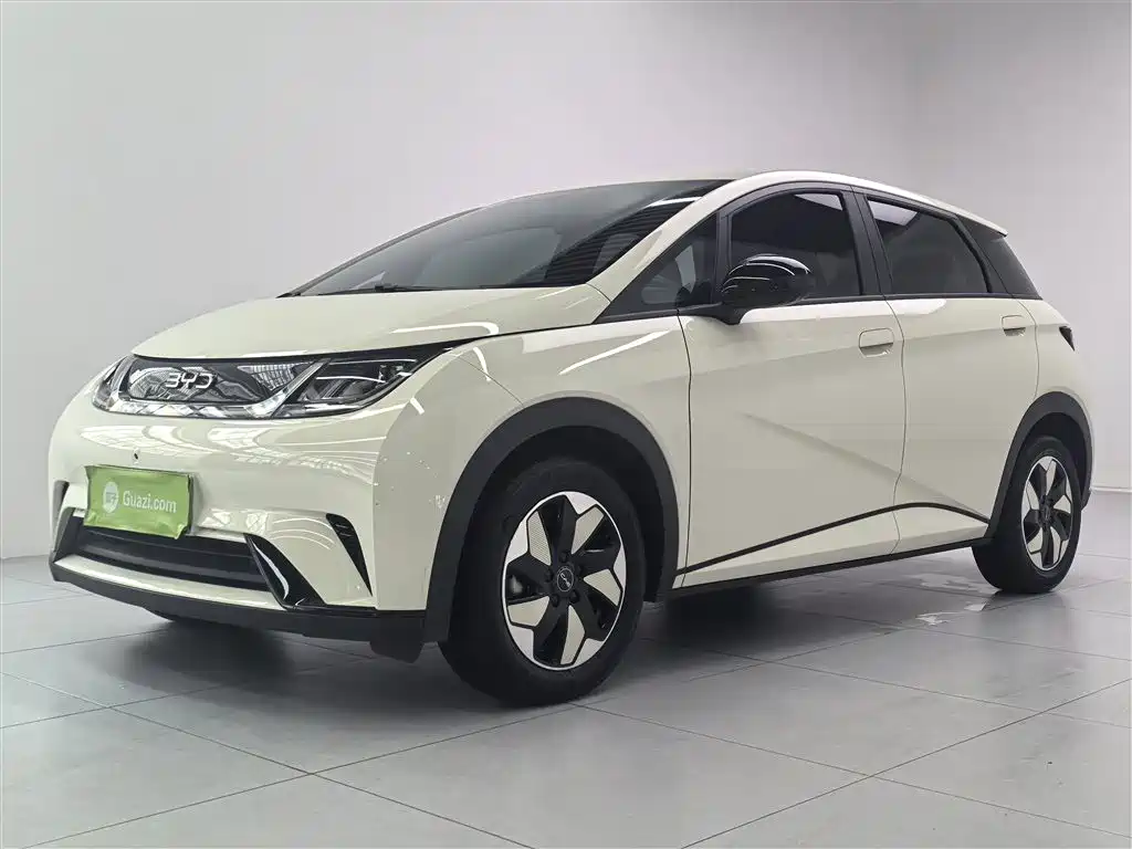 BYD Dolphin 2025 420km Freedom Edition