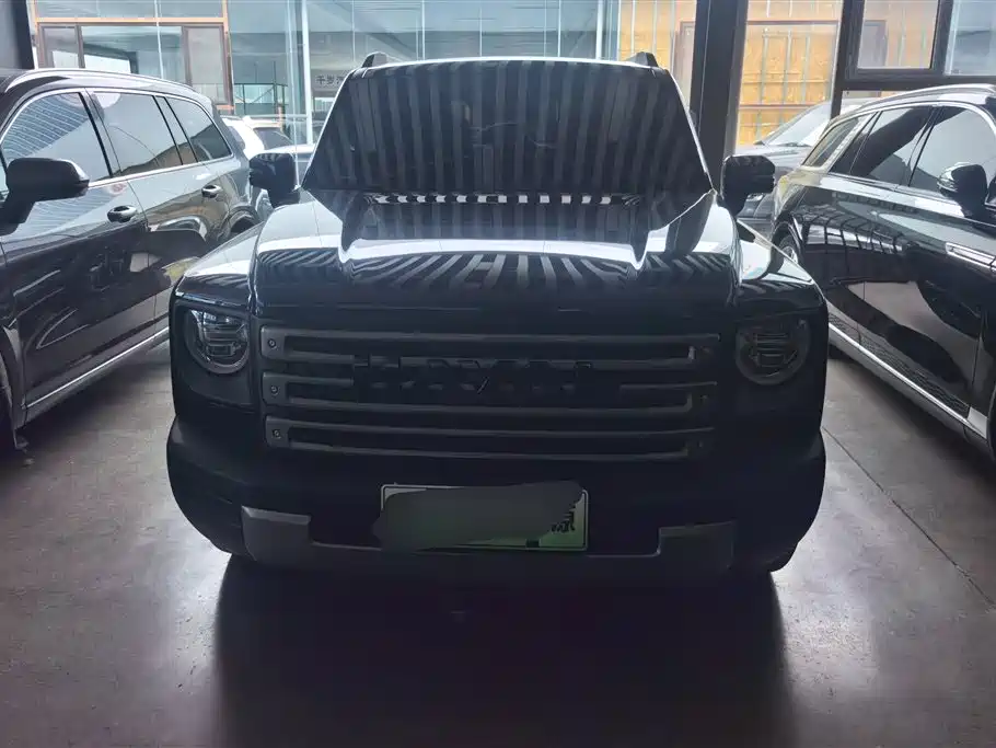 Haval Meng Long NEV 2024 Hi4 145 Pro фото 2