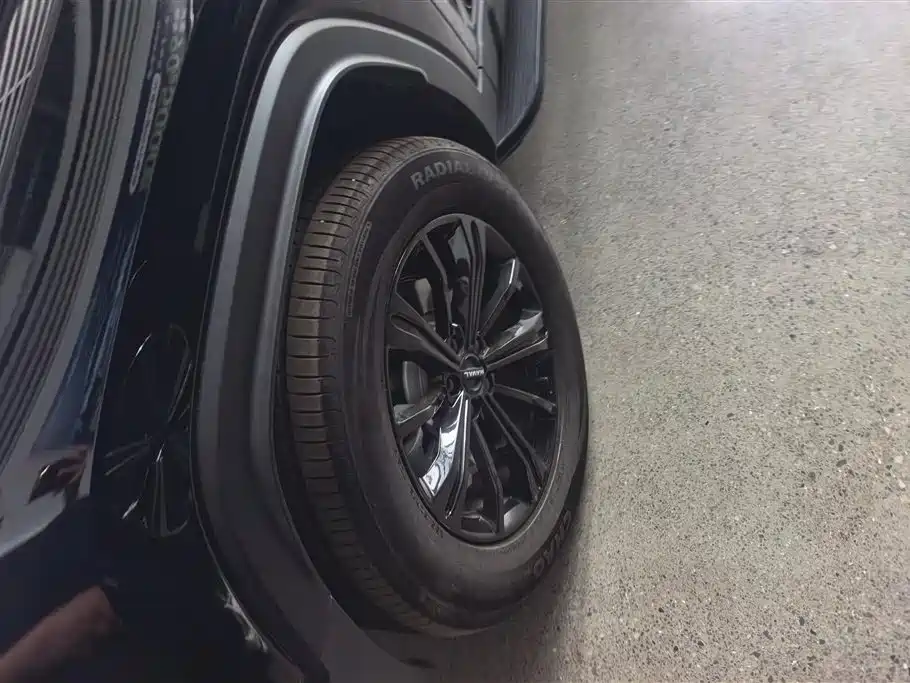 Haval Meng Long NEV 2024 Hi4 145 Pro фото 6
