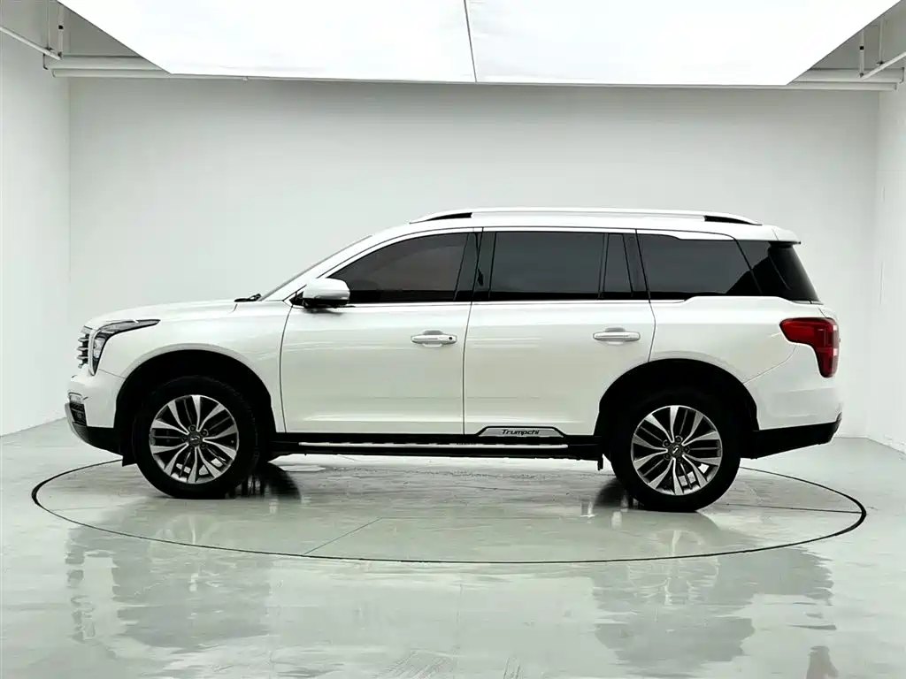 GAC Trumpchi Trumpchi GS8 2017 320T AWD Luxury Smart Connect (7-Seater) фото 8