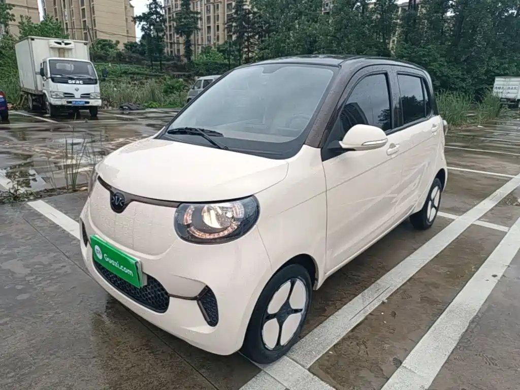 Xiaohu EV 2022 2021 FOR-Four Good Tiger NMC