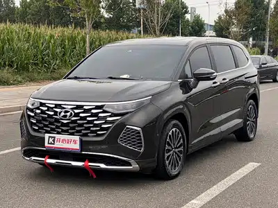 Hyundai Custo