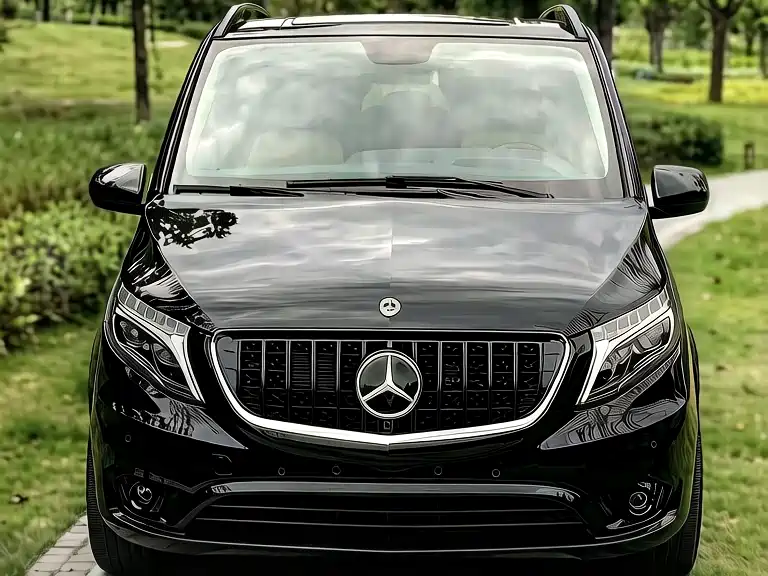 Mercedes-Benz Vito 2018 2.0T Business Edition China VI фото 2