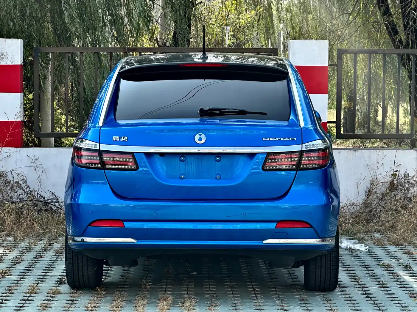 Denza Denza 2017 2017 Honor Edition