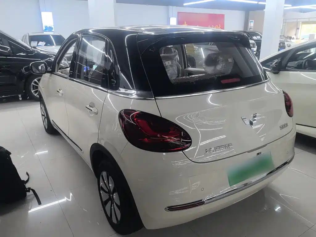 Wuling Motors Wuling Bingo 2026 2025 Model 333km Joy Edition
