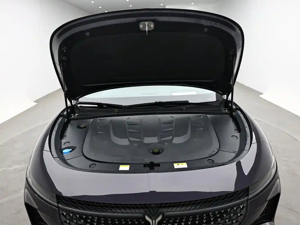 Voyah Passion 2024 2024 PHEV AWD Ultra Long Range Flagship