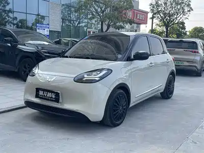 Wuling Bingo